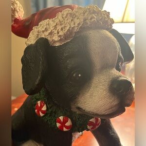 Boston terrier puppy with Santa hat